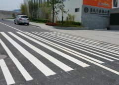 斑马线5